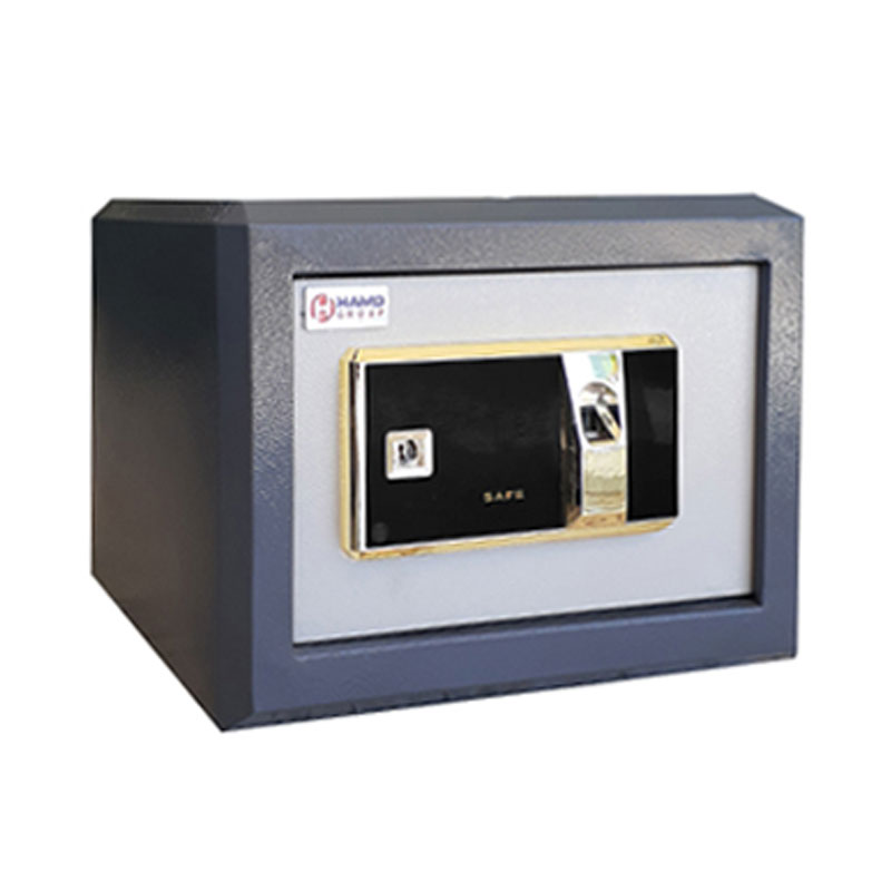 Coffre-FE-310W-